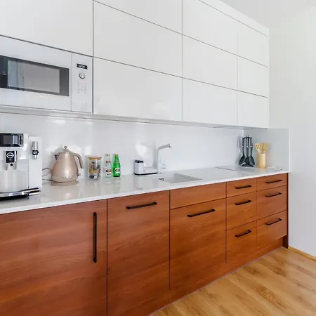 Wind Surfingbird Dźwirzyno