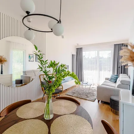 Wind Surfingbird * Dźwirzyno