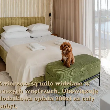 Wind Surfingbird * Dźwirzyno