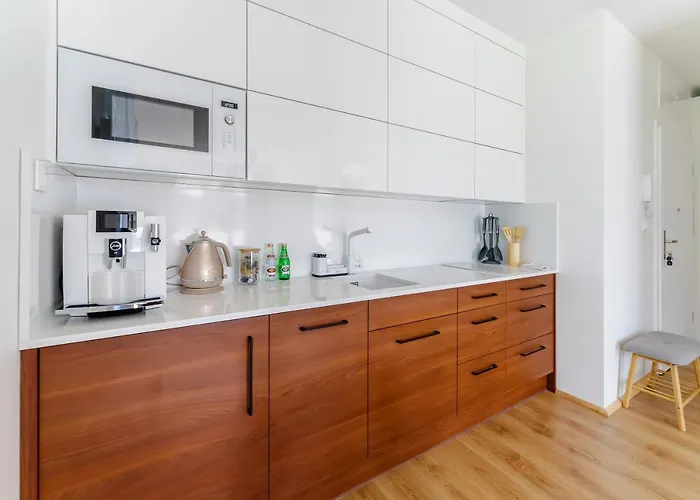 Wind Surfingbird Dźwirzyno