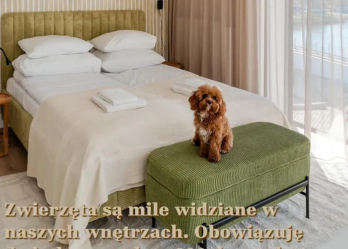 Wind Surfingbird * Dźwirzyno